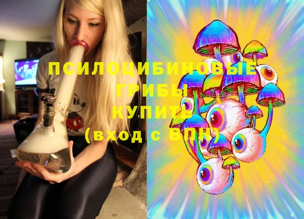 соль ск Зерноград